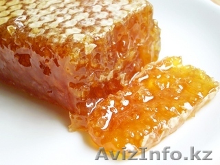 Продам оптом натуральные мед. - Изображение #1, Объявление #516641