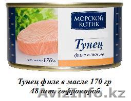 ООО "Капитан Немо" - Изображение #1, Объявление #608305