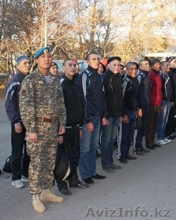 Служба Поддержки Призывников - Изображение #1, Объявление #982728