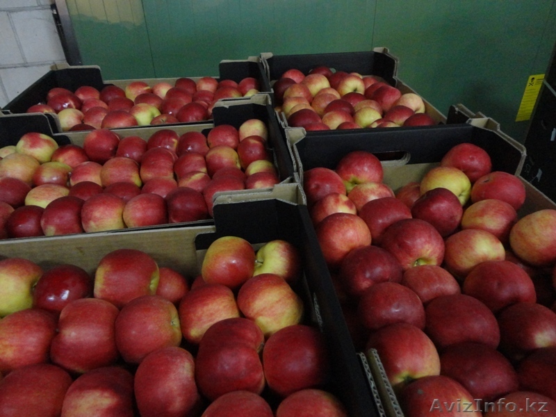 ALda Sp.J A.Leszko,D.Basiak darek@alda93.pl  tel.+48 601 158 947 - Изображение #1, Объявление #1003387