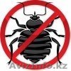 Услуги по уничтожению клопов. - Изображение #1, Объявление #1060298