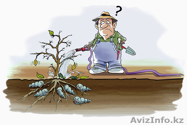 озеленение и спасение погибающих растений, садоводство, ландшафтный дизайн - Изображение #1, Объявление #1254347