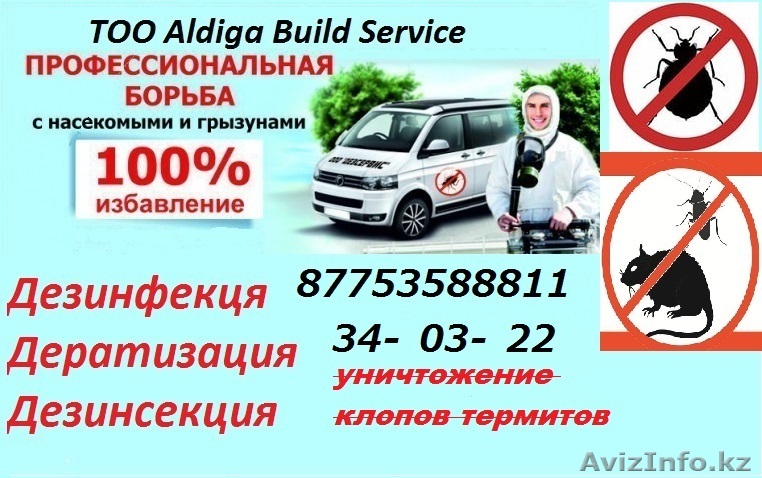 уничтожение клопов термитов  - Изображение #1, Объявление #1366625