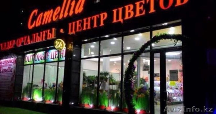 ЦЦ Camellia объявляет набор сотрудников - Изображение #1, Объявление #1477221