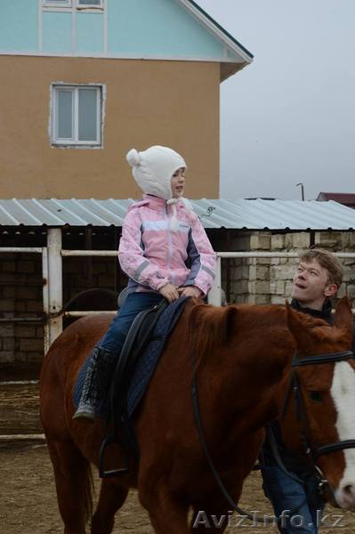 Иппотерапия- лечебная гимнастика на лошади. - Изображение #1, Объявление #1508669