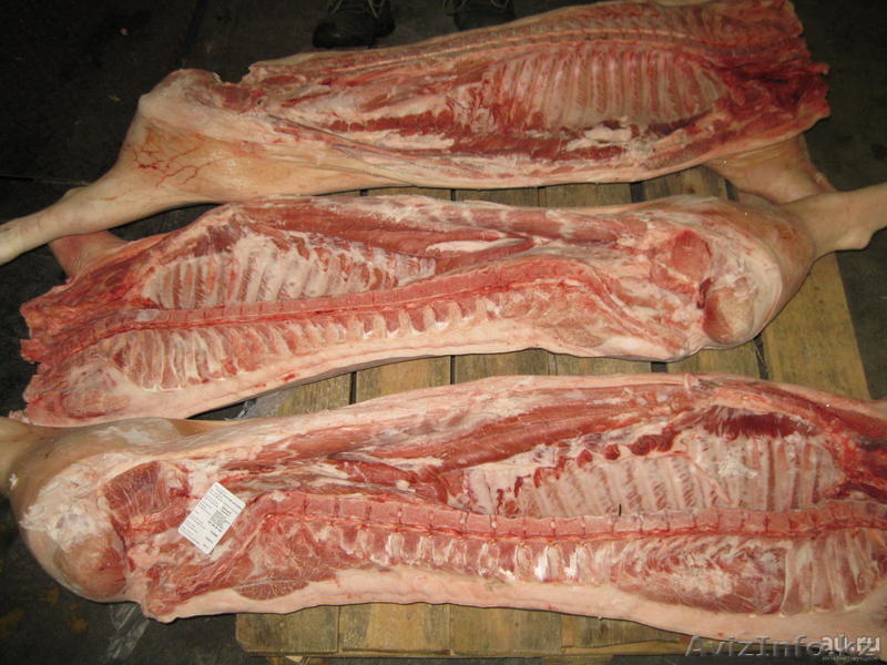 мясо  cвинины оптом   - Изображение #1, Объявление #1540442