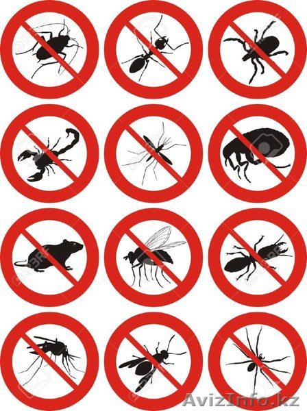  Дезинcекция и дератизация Актау - Изображение #1, Объявление #1561296