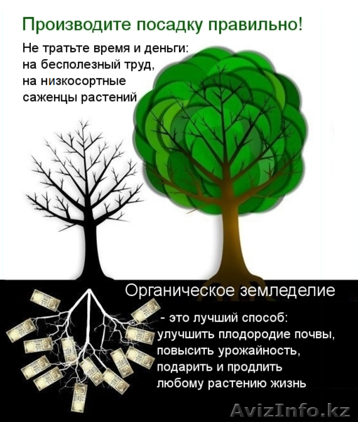 Садоводство,озеленение,удобрения - Изображение #1, Объявление #1633183