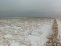 Продается земельный участок в поселка Тельман на берегу моря 1 га - Изображение #4, Объявление #812699