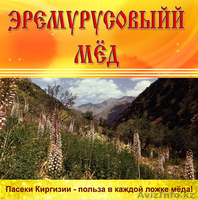 Кыргзстан, г. Токмок, Вячеслав, т.: +996 550144364, e-mail: zionis@ktnet.kg - Изображение #3, Объявление #875325