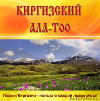 Кыргзстан, г. Токмок, Вячеслав, т.: +996 550144364, e-mail: zionis@ktnet.kg - Изображение #2, Объявление #875325