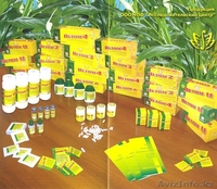 Ветом в каждый дом - Изображение #5, Объявление #908736