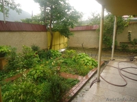 Срочно! Лучшее место в Боржоми! - Изображение #8, Объявление #1004435