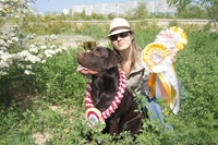 Продаются щенки лабрадора ретривера черного цвета с родословной - Изображение #1, Объявление #1034162