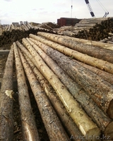 Пиломатериал российский!!!!!! - Изображение #2, Объявление #1044711