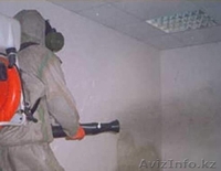 уничтожение клопов, термитов в Актау - Изображение #3, Объявление #1101210