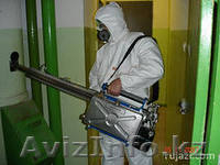 уничтожение клопов, термитов в Актау - Изображение #1, Объявление #1101210