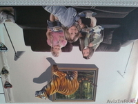 продам фотообои красивые и насадки для кранов и душа, недорого,от 700 до 4000тг. - Изображение #6, Объявление #1132376