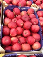 Продаю яблоки из Молдавии - Изображение #5, Объявление #1201747