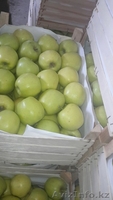 Продаю яблоки из Молдавии - Изображение #7, Объявление #1201747