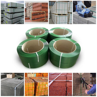 Лента упаковочная 19х0.1 PET (ПЭТ) - Изображение #6, Объявление #1261405