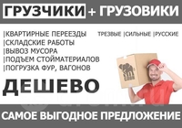 Грузчики,сборка-разборка мебели,грузоперевозки,вывоз мусора. - Изображение #3, Объявление #1671372