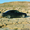 Audi 100 C4 продам Ауди 100 С4. продаю. продаю. продам - Изображение #4, Объявление #283138