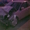 продам Audi A4 типтроник - Изображение #2, Объявление #341344