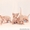 Продаю котят породы Канадский сфинкс - Изображение #3, Объявление #776788