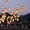 Китайские небесные фонарики желаний - Изображение #2, Объявление #908734