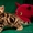 Шотландские вислоухие и прямоухие котята драгоценных окрасов. - Изображение #1, Объявление #995385