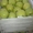 Продаю яблоки из Молдавии - Изображение #8, Объявление #1201747