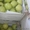 Продаю яблоки из Молдавии - Изображение #7, Объявление #1201747