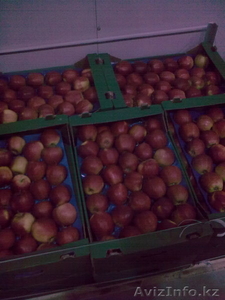 польские яблоки на исключительно высокого качества - Изображение #1, Объявление #130938