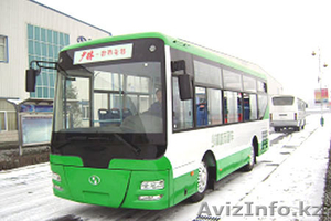 автобусы SHAOLIN - Изображение #5, Объявление #279137