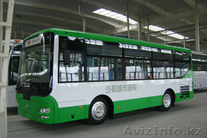 автобусы SHAOLIN - Изображение #4, Объявление #279137