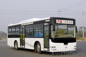 автобусы SHAOLIN - Изображение #1, Объявление #279137