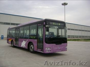 автобусы SHAOLIN - Изображение #10, Объявление #279137