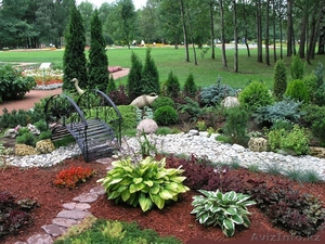 озеленение, ландшафтный дизайн, садоводство - Изображение #1, Объявление #839719