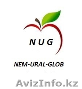 Продаем яблоки производства Польша