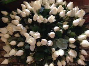 Белые розы из Голландии - Изображение #2, Объявление #1035800