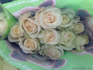 Белые розы из Голландии - Изображение #5, Объявление #1035800