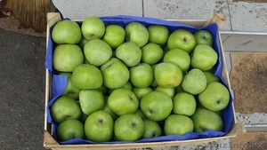 Продаю яблоки из Молдавии - Изображение #6, Объявление #1201747
