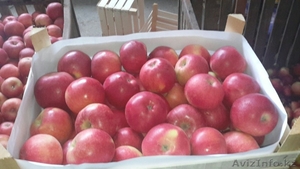 Продаю яблоки из Молдавии - Изображение #3, Объявление #1201747