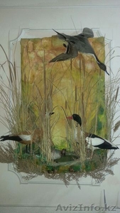 Художник-таксидермист выставил на продажу экспозиции чучел птиц - Изображение #2, Объявление #1336716
