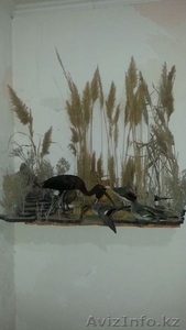 Художник-таксидермист выставил на продажу экспозиции чучел птиц - Изображение #3, Объявление #1336716