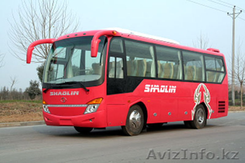 автобусы SHAOLIN - Изображение #7, Объявление #279137