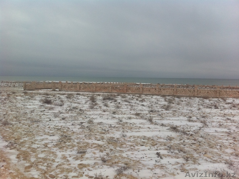 Продается земельный участок в поселка Тельман на берегу моря 1 га - Изображение #3, Объявление #812699