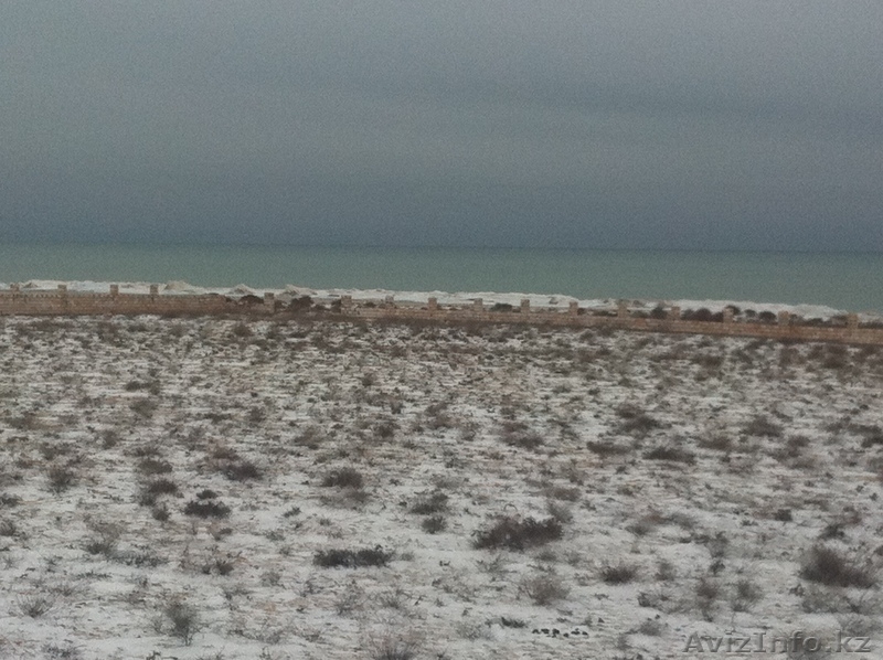 Продается земельный участок в поселка Тельман на берегу моря 1 га - Изображение #5, Объявление #812699