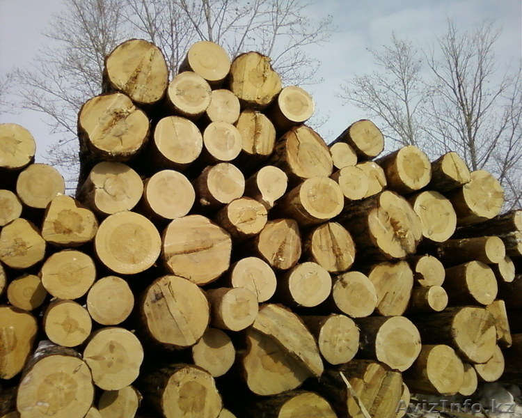 Купить Лес Кругляк В Крыму